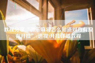 教程分享“微乐麻将怎么知道对方有没有开挂”(透视)开挂详细教程