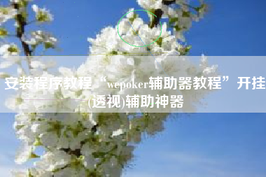 安装程序教程“wepoker辅助器教程”开挂(透视)辅助神器
