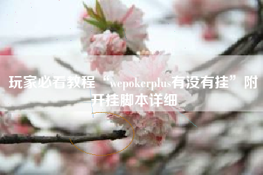玩家必看教程“wepokerplus有没有挂	”附开挂脚本详细