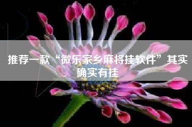 推荐一款“微乐家乡麻将挂软件”其实确实有挂