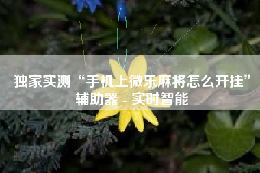 独家实测“手机上微乐麻将怎么开挂”辅助器 - 实时智能