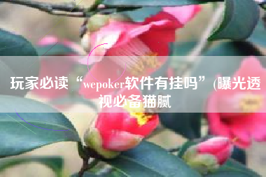 玩家必读“wepoker软件有挂吗	”(曝光透视必备猫腻