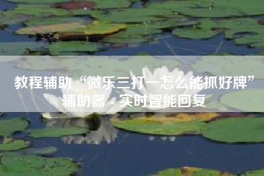 教程辅助“微乐三打一怎么能抓好牌”辅助器 - 实时智能回复