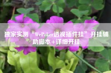 独家实测“WePoker透视插件挂	”开挂辅助脚本+详细开挂