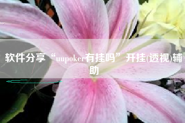 软件分享“uupoker有挂吗”开挂(透视)辅助