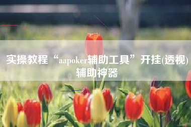 实操教程“aapoker辅助工具	”开挂(透视)辅助神器