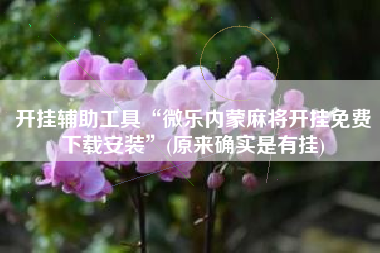 开挂辅助工具“微乐内蒙麻将开挂免费下载安装”(原来确实是有挂)