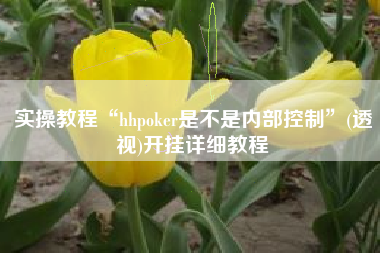实操教程“hhpoker是不是内部控制”(透视)开挂详细教程