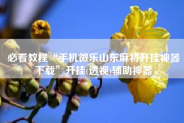 必看教程“手机微乐山东麻将开挂神器下载	”开挂(透视)辅助神器