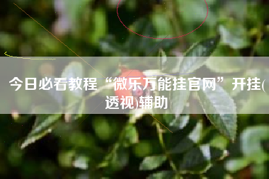 今日必看教程“微乐万能挂官网”开挂(透视)辅助
