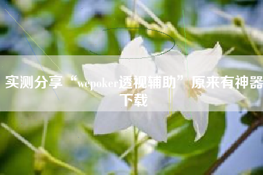 实测分享“wepoker透视辅助”原来有神器下载
