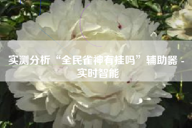 实测分析“全民雀神有挂吗	”辅助器 - 实时智能