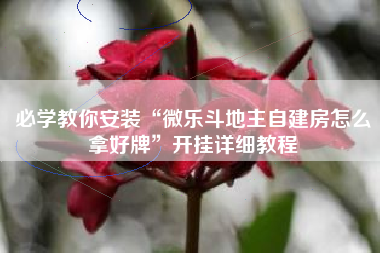 必学教你安装“微乐斗地主自建房怎么拿好牌”开挂详细教程