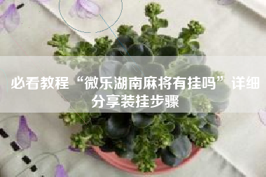 必看教程“微乐湖南麻将有挂吗”详细分享装挂步骤