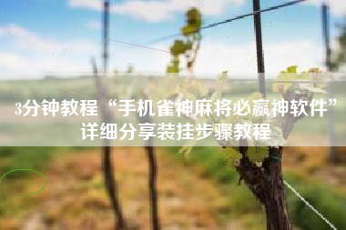 3分钟教程“手机雀神麻将必赢神软件	”详细分享装挂步骤教程