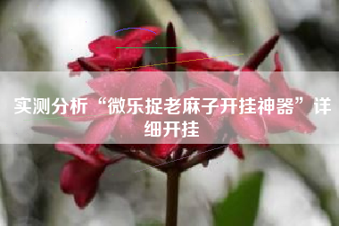 实测分析“微乐捉老麻子开挂神器”详细开挂