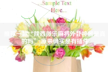 推荐一款“陕西微乐麻将外卦神器是真的吗”(原来确实是有插件