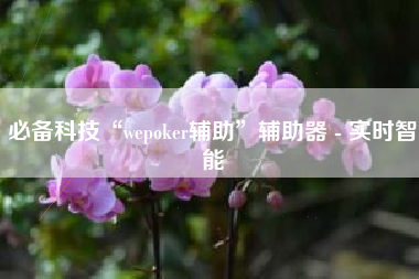 必备科技“wepoker辅助”辅助器 - 实时智能