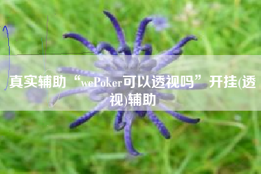 真实辅助“wePoker可以透视吗”开挂(透视)辅助