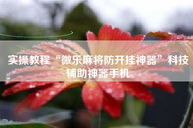 实操教程“微乐麻将防开挂神器”科技辅助神器手机