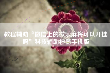 教程辅助“微信上的微乐麻将可以开挂吗”科技辅助神器手机版