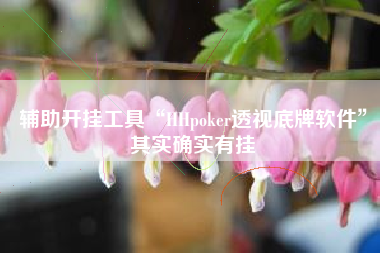 辅助开挂工具“HHpoker透视底牌软件”其实确实有挂