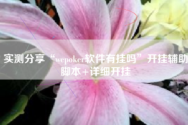 实测分享“wepoker软件有挂吗	”开挂辅助脚本+详细开挂