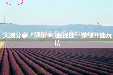 实测分享“微乐2025透视挂”详细开挂玩法