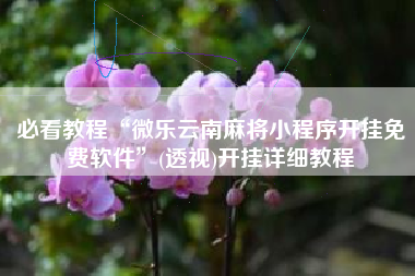 必看教程“微乐云南麻将小程序开挂免费软件”(透视)开挂详细教程