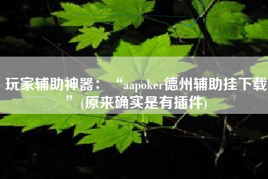 玩家辅助神器：“aapoker德州辅助挂下载”(原来确实是有插件)