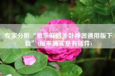 专家分析“微乐麻将外卦神器通用版下载	”(原来确实是有插件)