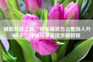 辅助开挂工具“微乐麻将怎么看别人开挂不”详细分享装挂步骤教程