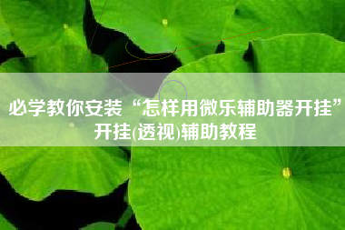 必学教你安装“怎样用微乐辅助器开挂”开挂(透视)辅助教程