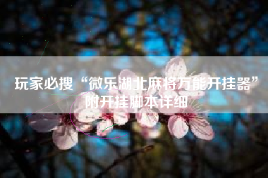 玩家必搜“微乐湖北麻将万能开挂器	”附开挂脚本详细