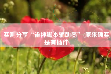 实测分享“雀神脚本辅助器”(原来确实是有插件