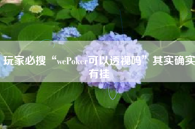 玩家必搜“wePoker可以透视吗	”其实确实有挂