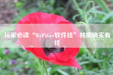 玩家必读“WePoker软件挂”其实确实有挂