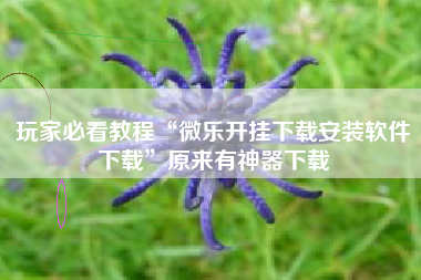 玩家必看教程“微乐开挂下载安装软件下载”原来有神器下载