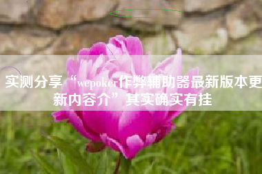实测分享“wepoker作弊辅助器最新版本更新内容介”其实确实有挂
