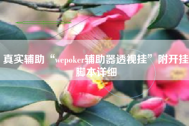 真实辅助“wepoker辅助器透视挂”附开挂脚本详细