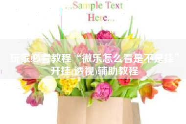 玩家必看教程“微乐怎么看是不是挂”开挂(透视)辅助教程