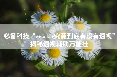 必备科技“wepoker究竟到底有没有透视”揭秘透视辅助万能挂