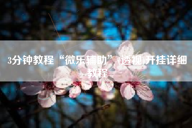 3分钟教程“微乐辅助”(透视)开挂详细教程