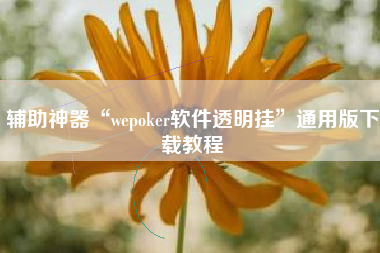 辅助神器“wepoker软件透明挂”通用版下载教程