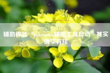 辅助神器“pokemmo辅助工具自动”其实确实有挂