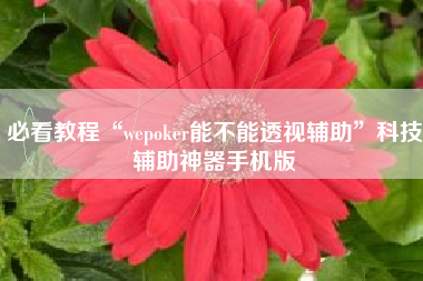 必看教程“wepoker能不能透视辅助”科技辅助神器手机版
