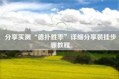 分享实测“德扑胜率”详细分享装挂步骤教程