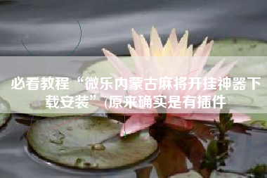 必看教程“微乐内蒙古麻将开挂神器下载安装”(原来确实是有插件