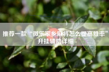 推荐一款“微乐家乡麻将怎么提高胜率”开挂辅助详细