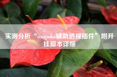 实测分析“waapoke辅助透视插件	”附开挂脚本详细